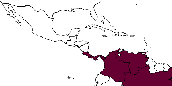 map of Zavoya cooperi     Bouček, 1992